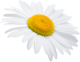 Seconhand
