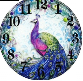 Diamantové vyšívání motiv hodiny KAMÍNKY JSOU PO CELÉ PLOŠE páv > 20x20cm