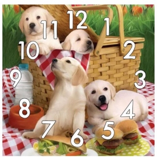 Diamantové vyšívání motiv hodiny KAMÍNKY JSOU PO CELÉ PLOŠE pejskové > 20x20cm