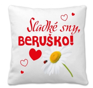 Povlak na polštářek rozměr 45 x 45 cm Polštářek sladké sny beruško