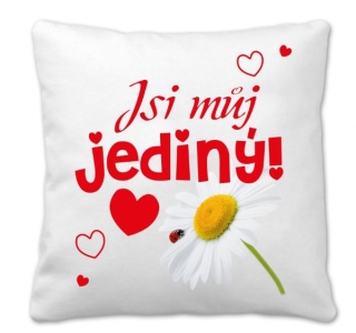 Povlak na polštářek rozměr 45 x 45 cm Polštářek jsi můj jediný