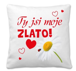 Povlak na polštářek rozměr 45 x 45 cm Polštářek Ty jsi moje zlato