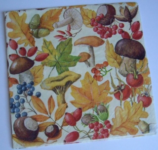 Ubrousek houby šípky houbičky  ubrousek na decoupage