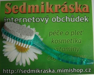 Pemza s kartáčkem na plastové rukojetí zelená