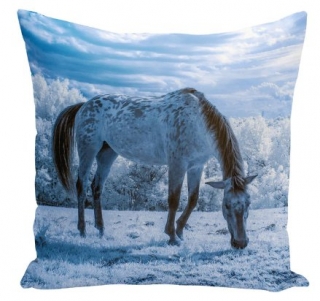 Povlak na polštář polštářek  rozměr 45 x 45 cm koně