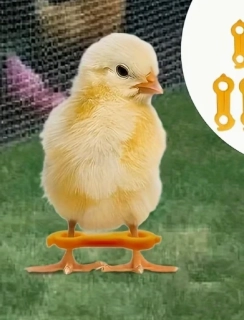 Křepelčí nožičky korekce 1ks 