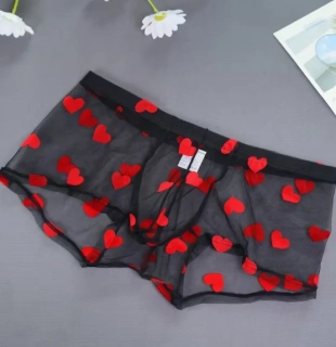 Erotické boxerky trenýrky pánské 